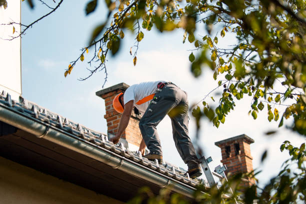 Best Roof Insulation Installation  in K I Sawyer, MI