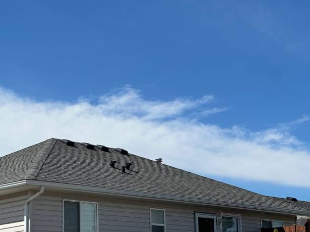 Best Asphalt Shingle Roofing  in K I Sawyer, MI